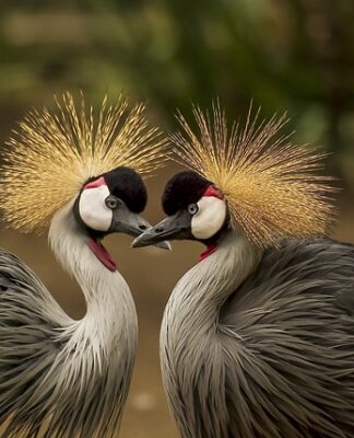 Jak się pierze buty?