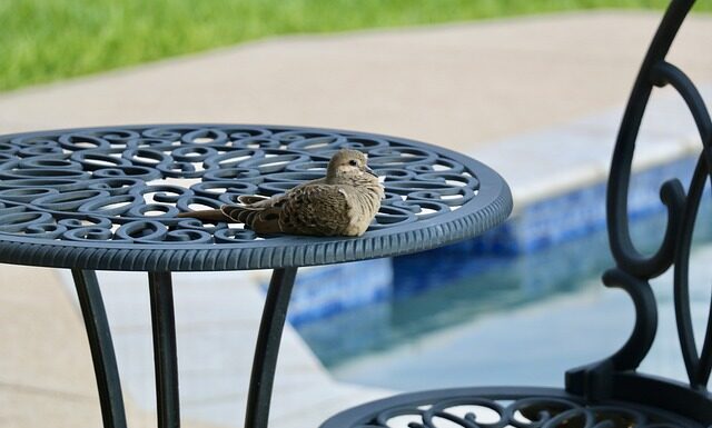 Czy na basenie można kąpać się w spodenkach? Czy na basenie można kąpać się w spodenkach?