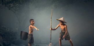 Dlaczego ryby leżą na dnie?