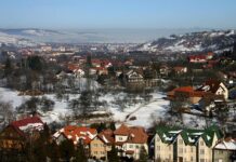 Co zamiast otrębów do chleba? Co zamiast otrębów do chleba?