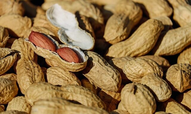 Czy można jeść surowe orzeszki ziemne? Czy można jeść surowe orzeszki ziemne?