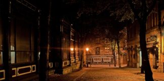 Jakie lampy do doświetlania roślin?