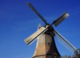 Czy można zmielić orzechy w blenderze?